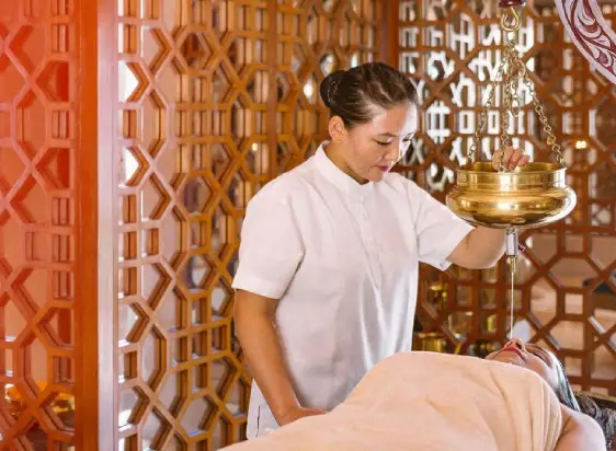 Rajasthan Ayurveda Wellness/ Luxury Tour.